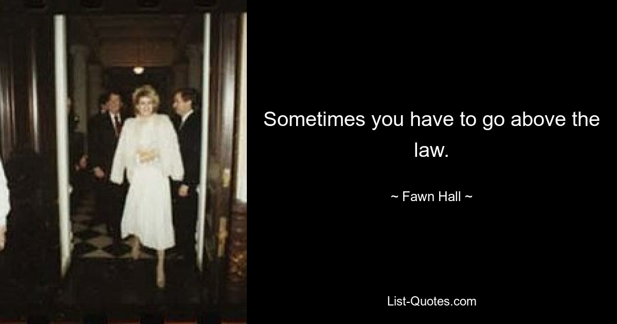 Sometimes you have to go above the law. — © Fawn Hall