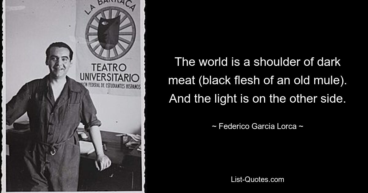 The world is a shoulder of dark meat (black flesh of an old mule). And the light is on the other side. — © Federico Garcia Lorca