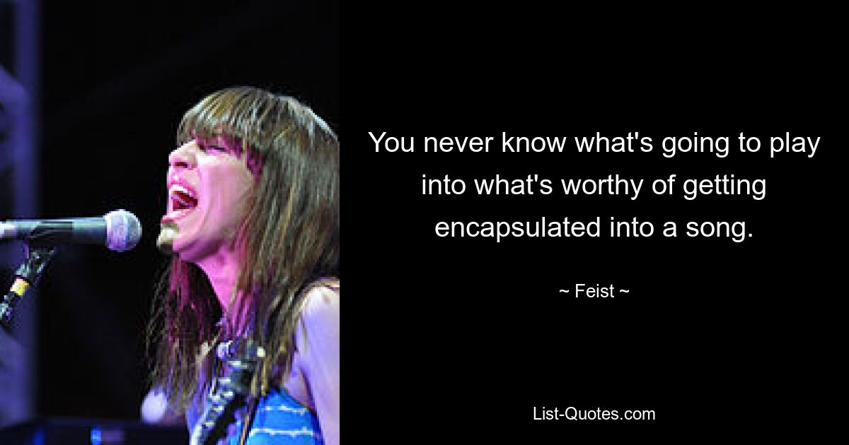 You never know what's going to play into what's worthy of getting encapsulated into a song. — © Feist