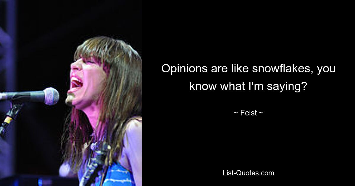 Opinions are like snowflakes, you know what I'm saying? — © Feist