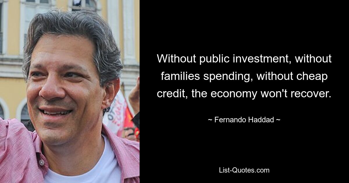 Without public investment, without families spending, without cheap credit, the economy won't recover. — © Fernando Haddad