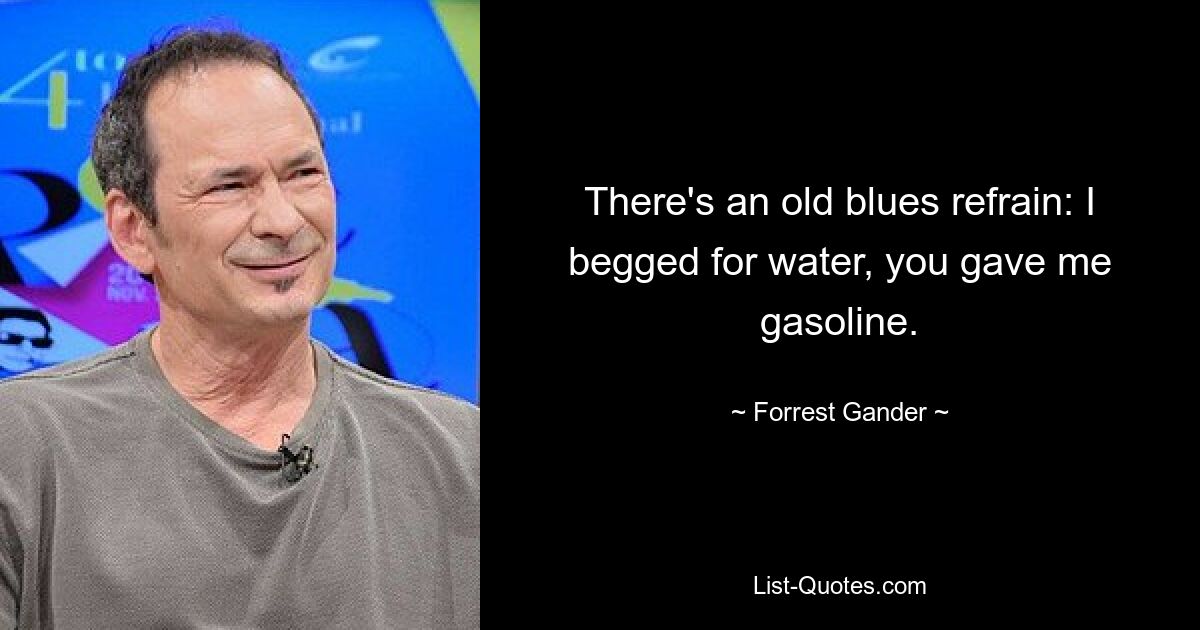 There's an old blues refrain: I begged for water, you gave me gasoline. — © Forrest Gander