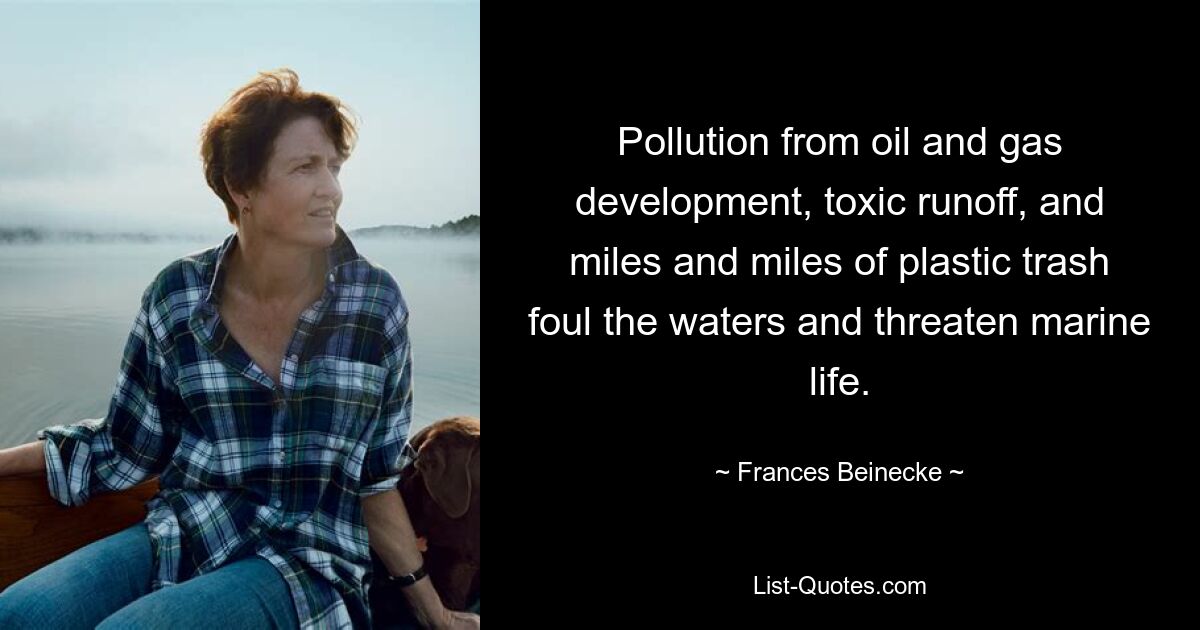 Pollution from oil and gas development, toxic runoff, and miles and miles of plastic trash foul the waters and threaten marine life. — © Frances Beinecke