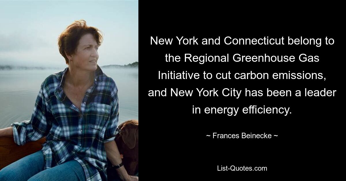 New York and Connecticut belong to the Regional Greenhouse Gas Initiative to cut carbon emissions, and New York City has been a leader in energy efficiency. — © Frances Beinecke