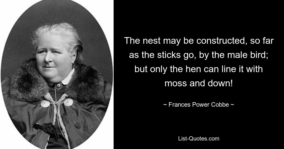 The nest may be constructed, so far as the sticks go, by the male bird; but only the hen can line it with moss and down! — © Frances Power Cobbe