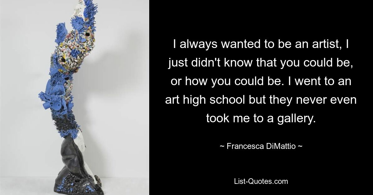 I always wanted to be an artist, I just didn't know that you could be, or how you could be. I went to an art high school but they never even took me to a gallery. — © Francesca DiMattio