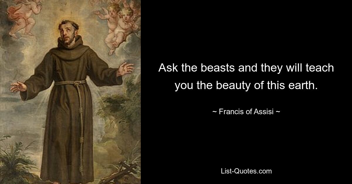 Ask the beasts and they will teach you the beauty of this earth. — © Francis of Assisi