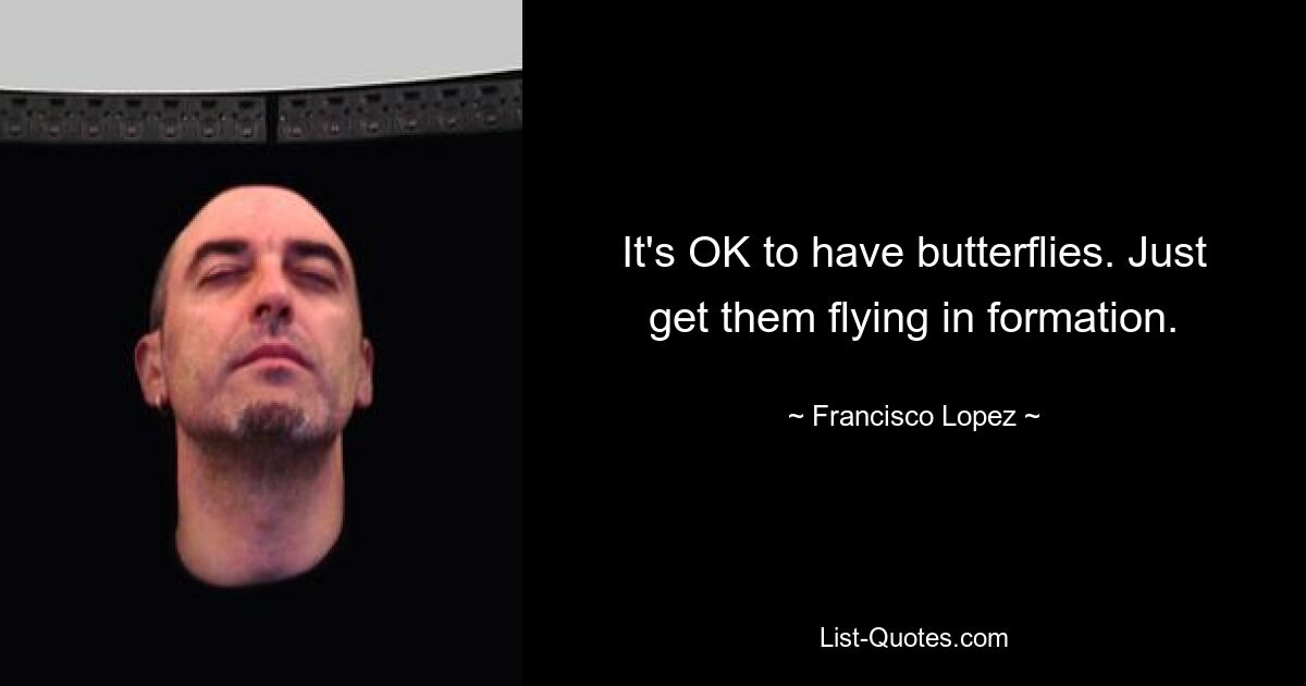 It's OK to have butterflies. Just get them flying in formation. — © Francisco Lopez