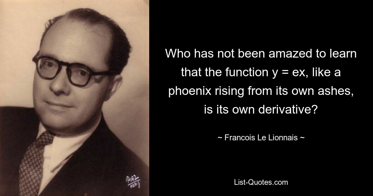Кто не был поражен, узнав, что функция y = ex, как феникс, восставший из собственного пепла, является собственной производной? — © Франсуа Ле Лионне 
