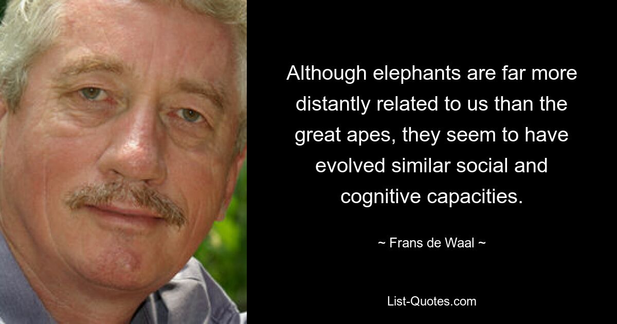 Although elephants are far more distantly related to us than the great apes, they seem to have evolved similar social and cognitive capacities. — © Frans de Waal