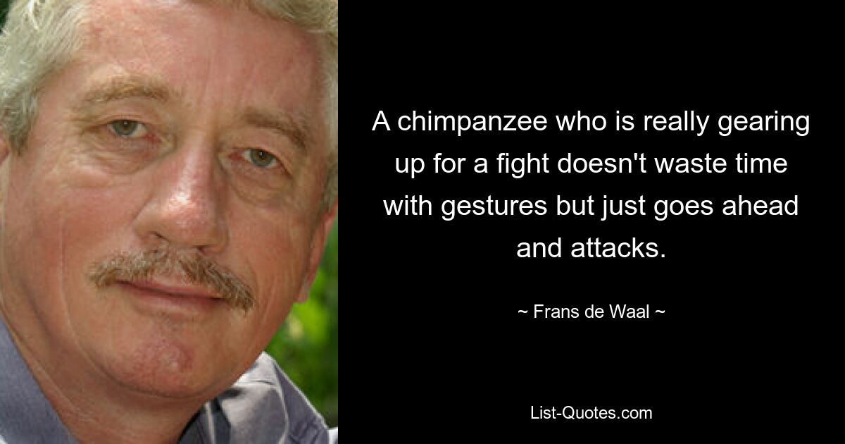 A chimpanzee who is really gearing up for a fight doesn't waste time with gestures but just goes ahead and attacks. — © Frans de Waal