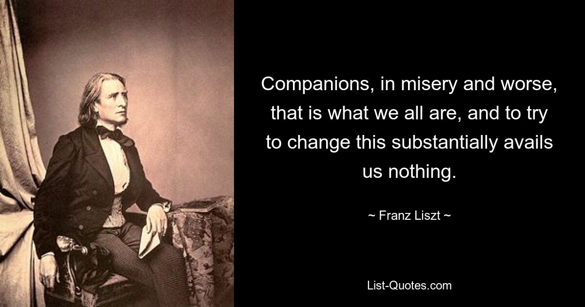 Gefährten, im Elend und noch schlimmer, das sind wir alle, und der Versuch, dies im Wesentlichen zu ändern, nützt uns nichts. — © Franz Liszt 