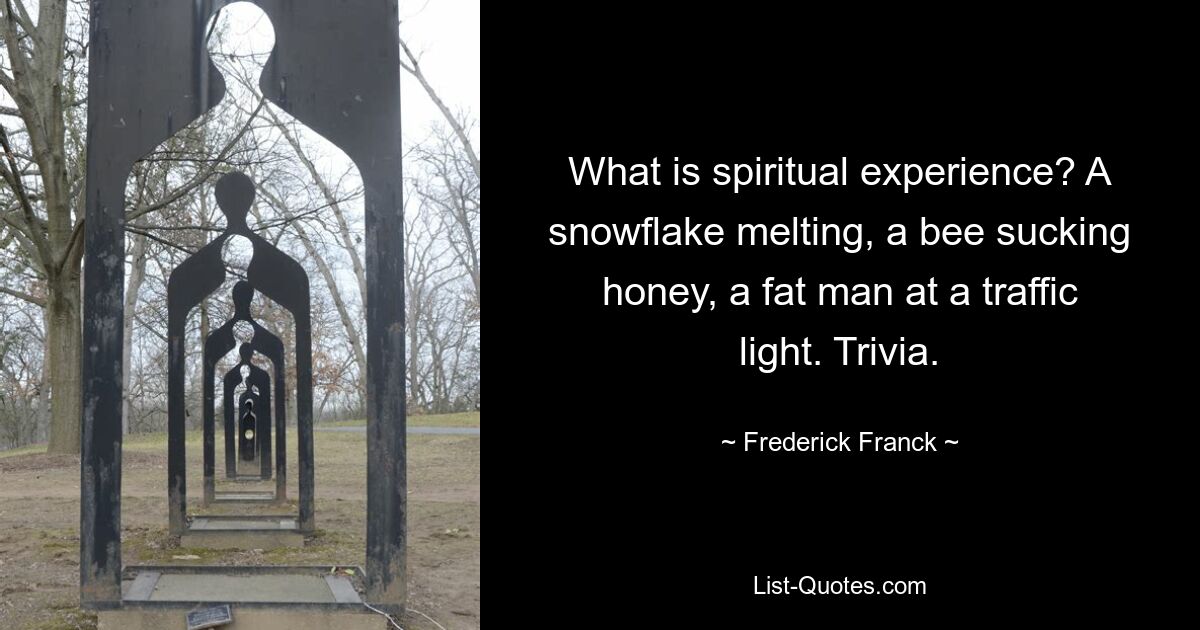 What is spiritual experience? A snowflake melting, a bee sucking honey, a fat man at a traffic light. Trivia. — © Frederick Franck