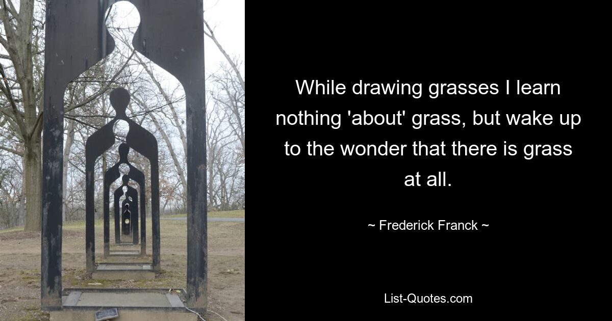 While drawing grasses I learn nothing 'about' grass, but wake up to the wonder that there is grass at all. — © Frederick Franck