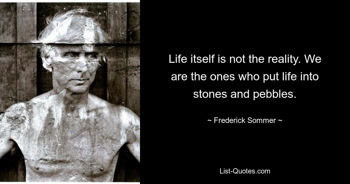 Life itself is not the reality. We are the ones who put life into stones and pebbles. — © Frederick Sommer