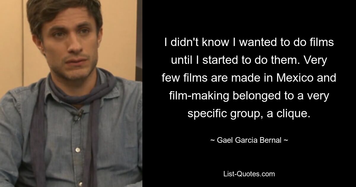 I didn't know I wanted to do films until I started to do them. Very few films are made in Mexico and film-making belonged to a very specific group, a clique. — © Gael Garcia Bernal