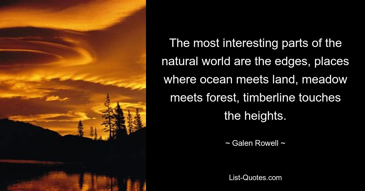 The most interesting parts of the natural world are the edges, places where ocean meets land, meadow meets forest, timberline touches the heights. — © Galen Rowell