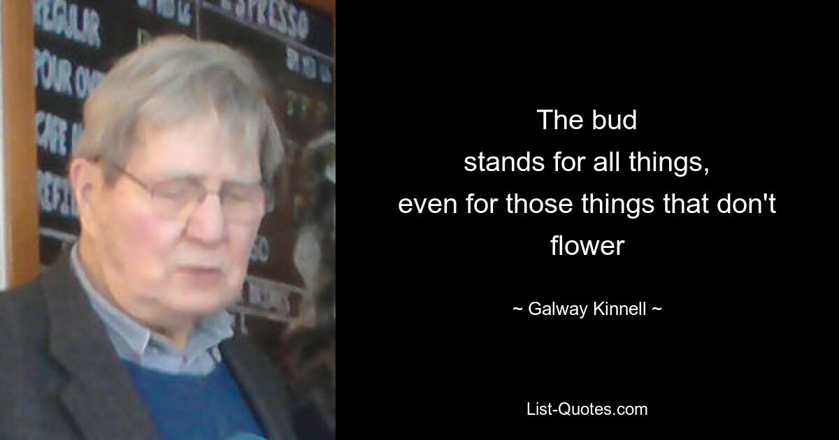 The bud
stands for all things,
even for those things that don't flower — © Galway Kinnell