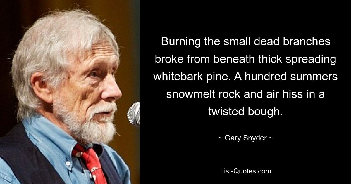 Burning the small dead branches broke from beneath thick spreading whitebark pine. A hundred summers snowmelt rock and air hiss in a twisted bough. — © Gary Snyder