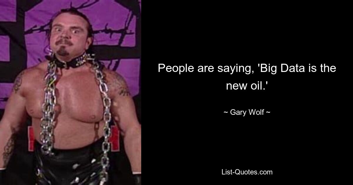 People are saying, 'Big Data is the new oil.' — © Gary Wolf