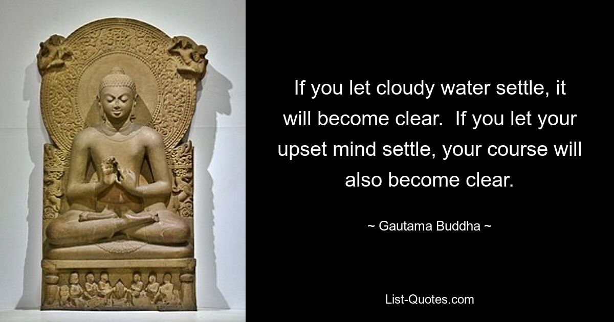 If you let cloudy water settle, it will become clear.  If you let your upset mind settle, your course will also become clear. — © Gautama Buddha