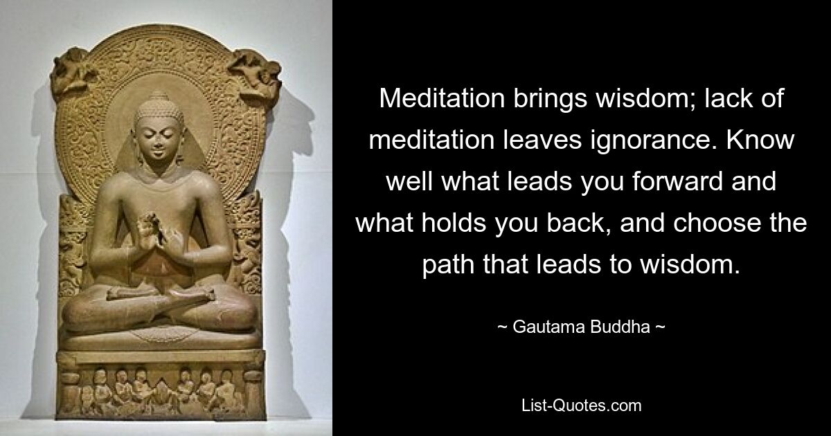 Meditation brings wisdom; lack of meditation leaves ignorance. Know well what leads you forward and what holds you back, and choose the path that leads to wisdom. — © Gautama Buddha