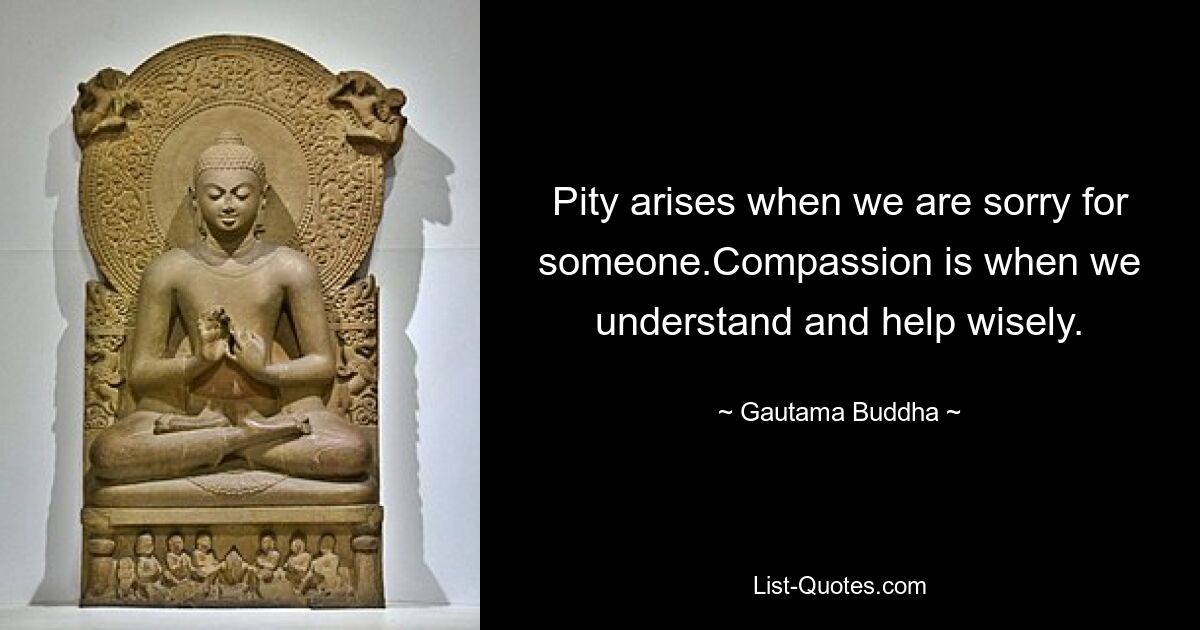 Pity arises when we are sorry for someone.Compassion is when we understand and help wisely. — © Gautama Buddha