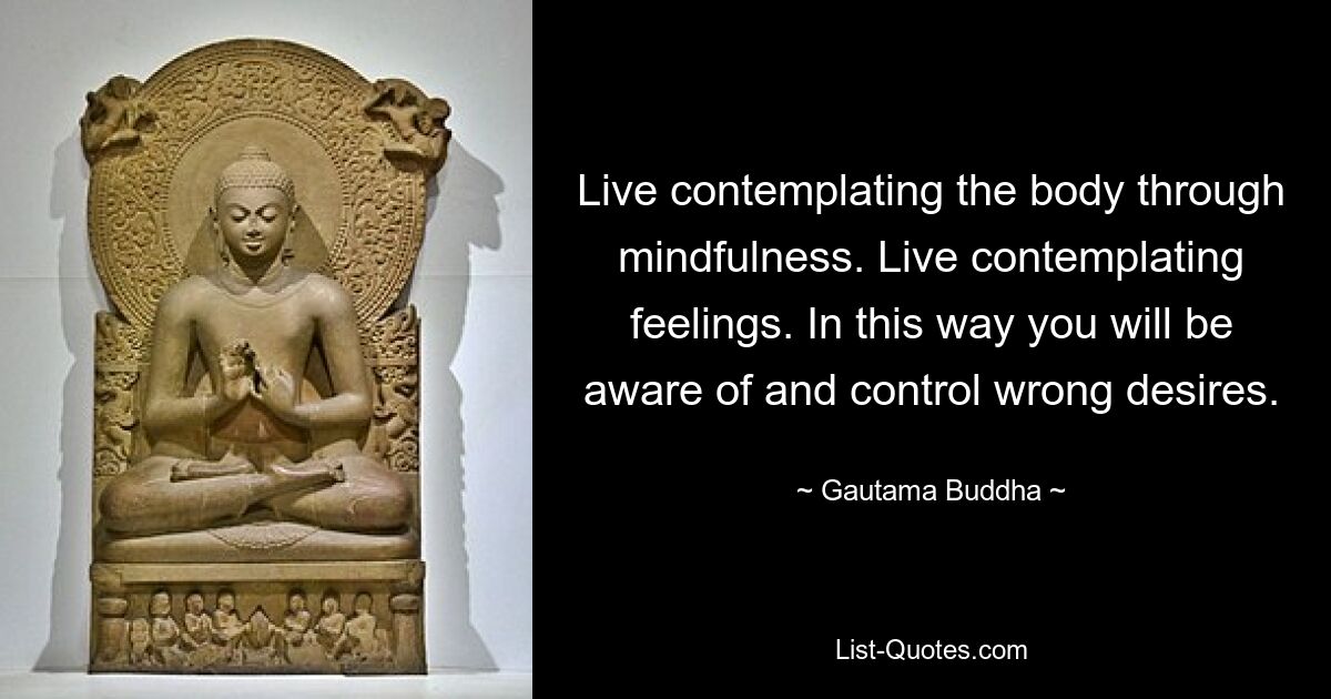 Live contemplating the body through mindfulness. Live contemplating feelings. In this way you will be aware of and control wrong desires. — © Gautama Buddha