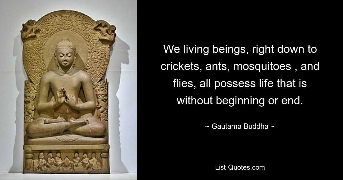 We living beings, right down to crickets, ants, mosquitoes , and flies, all possess life that is without beginning or end. — © Gautama Buddha