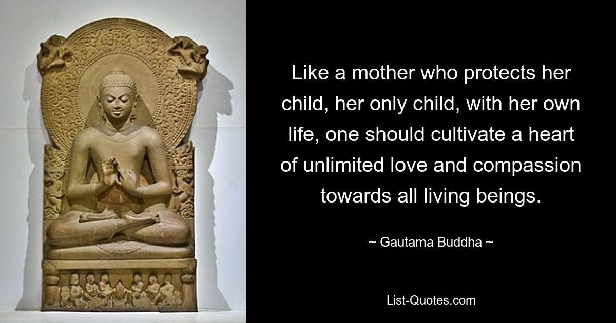 Like a mother who protects her child, her only child, with her own life, one should cultivate a heart of unlimited love and compassion towards all living beings. — © Gautama Buddha