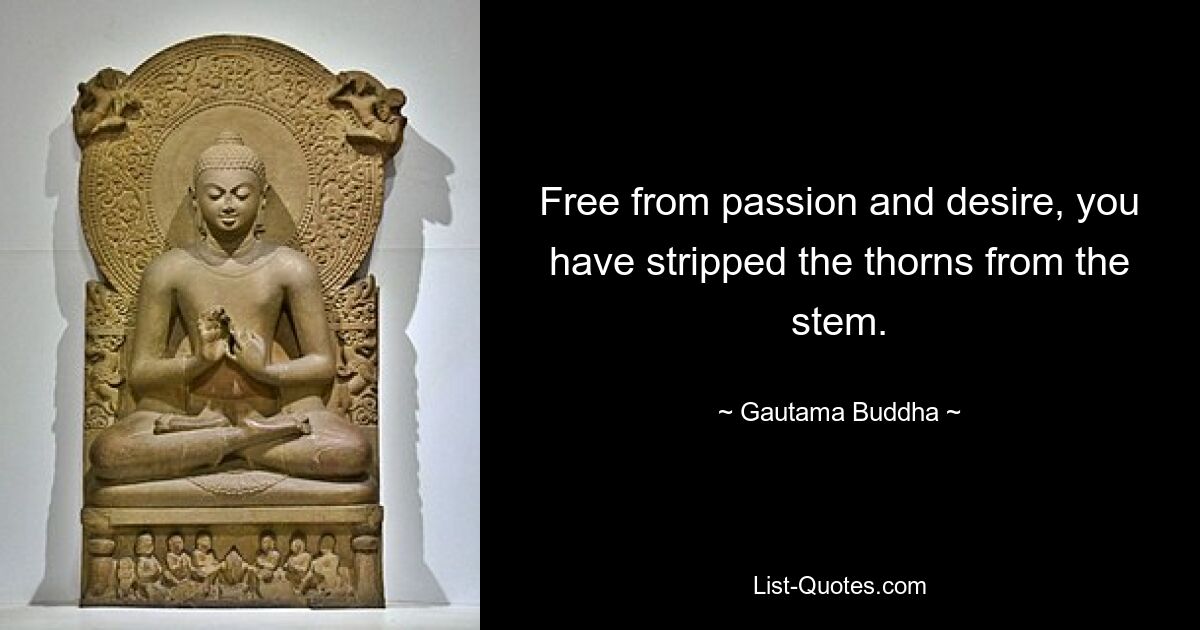 Free from passion and desire, you have stripped the thorns from the stem. — © Gautama Buddha