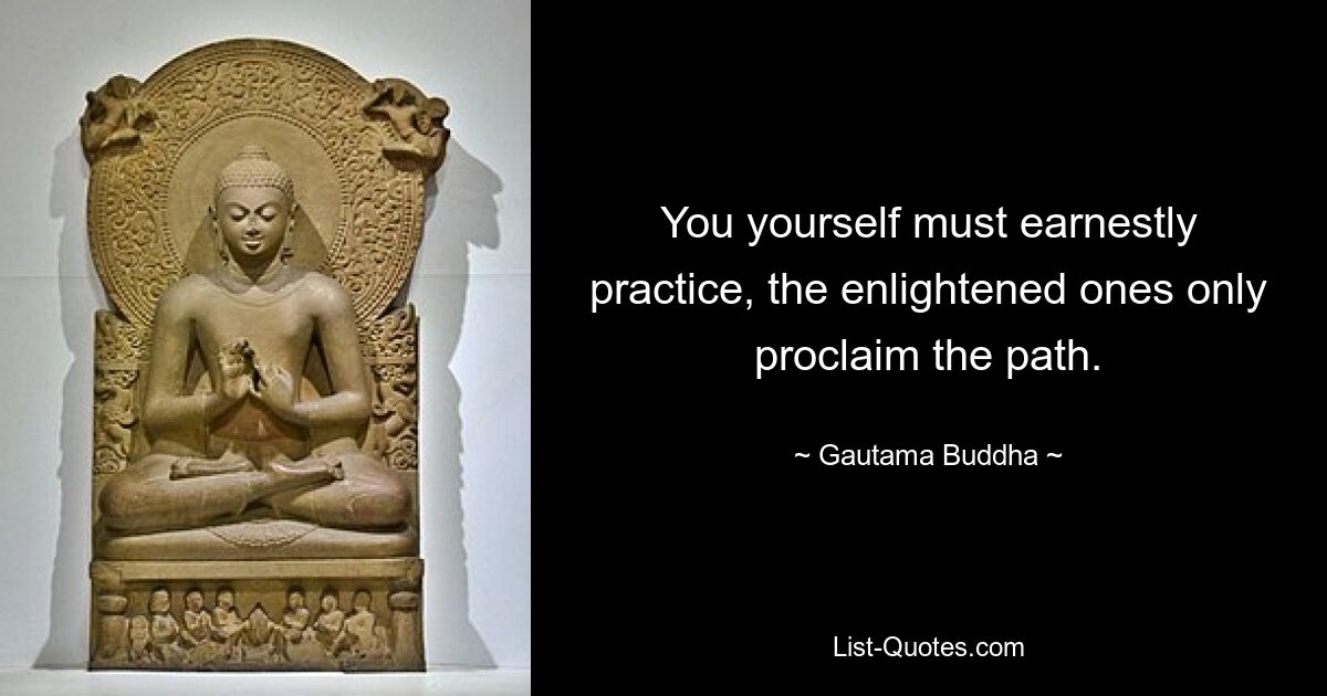 You yourself must earnestly practice, the enlightened ones only proclaim the path. — © Gautama Buddha