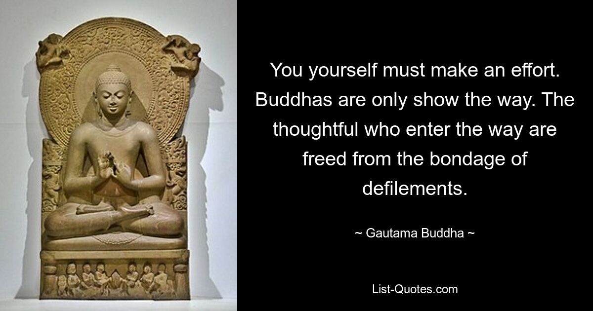 You yourself must make an effort. Buddhas are only show the way. The thoughtful who enter the way are freed from the bondage of defilements. — © Gautama Buddha