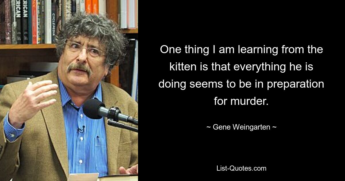 One thing I am learning from the kitten is that everything he is doing seems to be in preparation for murder. — © Gene Weingarten