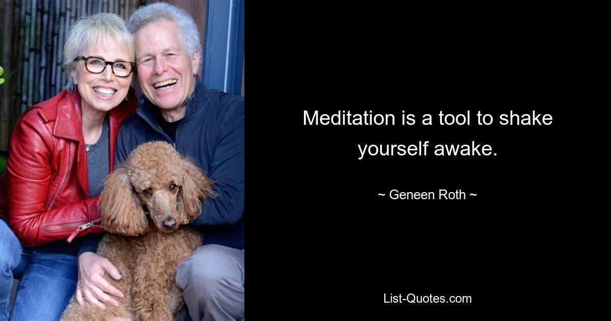 Meditation is a tool to shake yourself awake. — © Geneen Roth