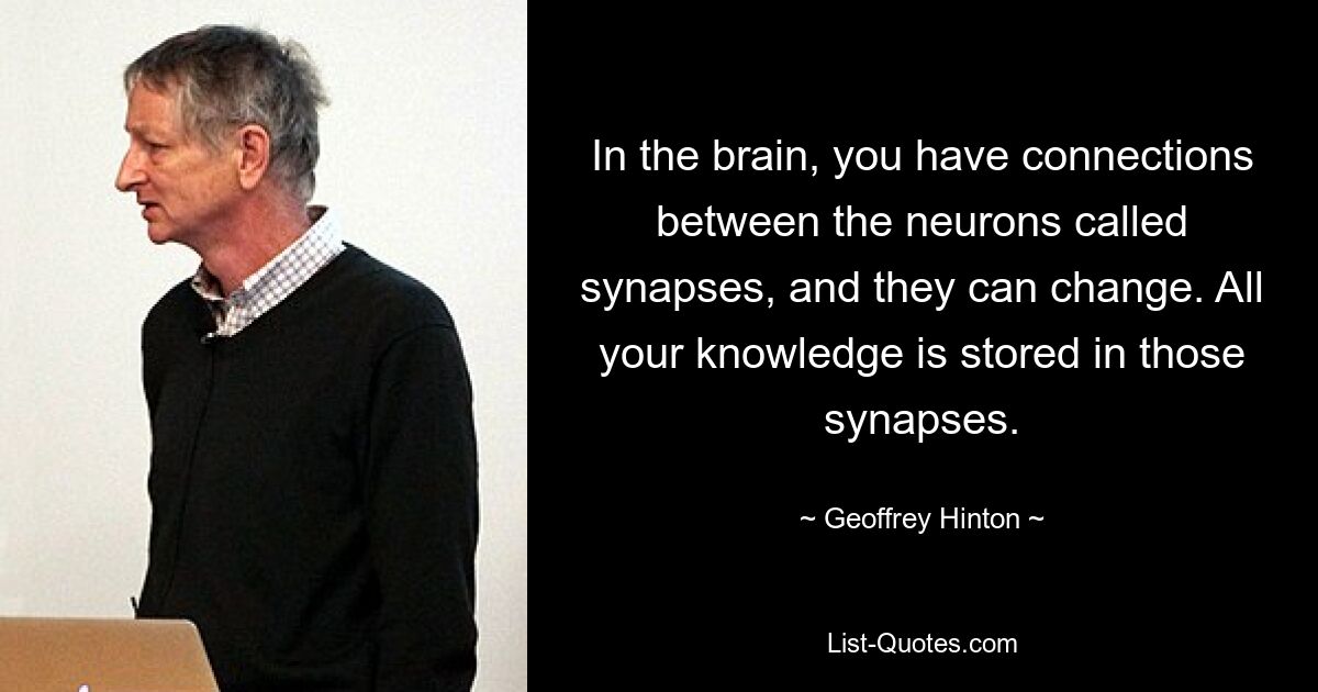 In the brain, you have connections between the neurons called synapses, and they can change. All your knowledge is stored in those synapses. — © Geoffrey Hinton