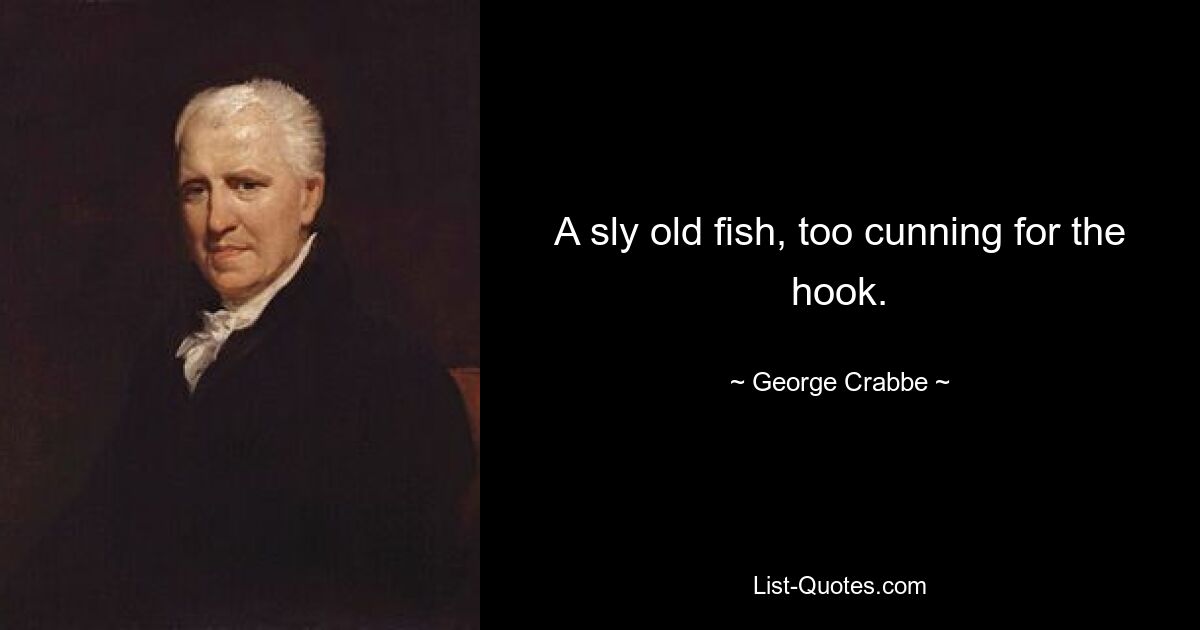 A sly old fish, too cunning for the hook. — © George Crabbe