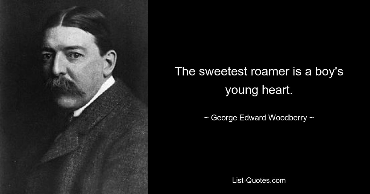 The sweetest roamer is a boy's young heart. — © George Edward Woodberry