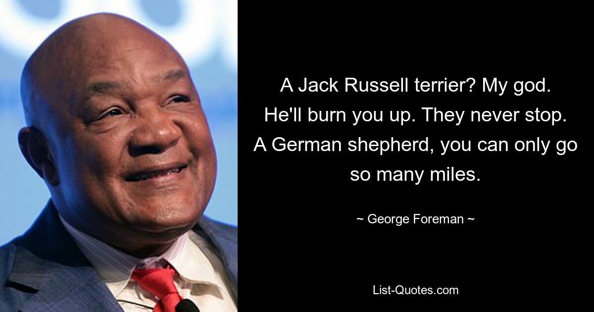 A Jack Russell terrier? My god. He'll burn you up. They never stop. A German shepherd, you can only go so many miles. — © George Foreman