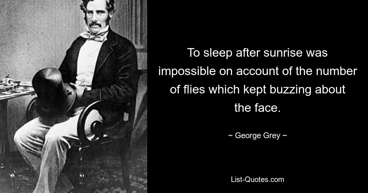 To sleep after sunrise was impossible on account of the number of flies which kept buzzing about the face. — © George Grey