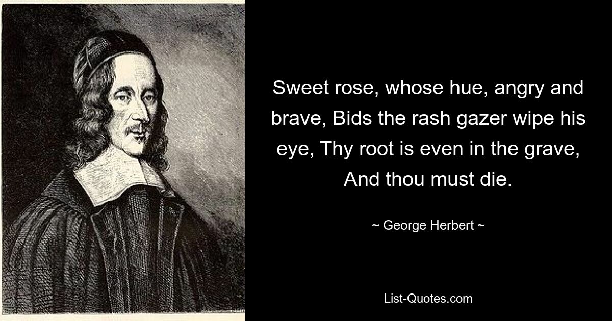 Сладкая роза, чей оттенок, гневный и храбрый, Приказывает опрометчивому наблюдателю вытереть глаза, Твой корень даже в могиле, И ты должен умереть. — © Джордж Герберт