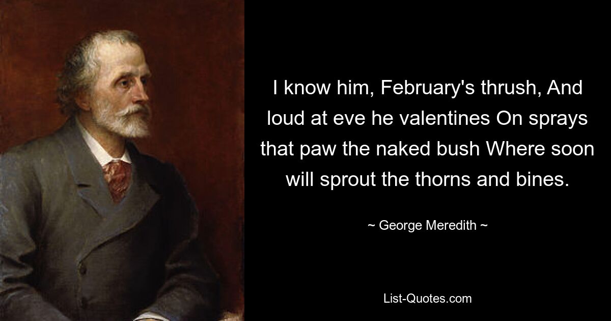 I know him, February's thrush, And loud at eve he valentines On sprays that paw the naked bush Where soon will sprout the thorns and bines. — © George Meredith