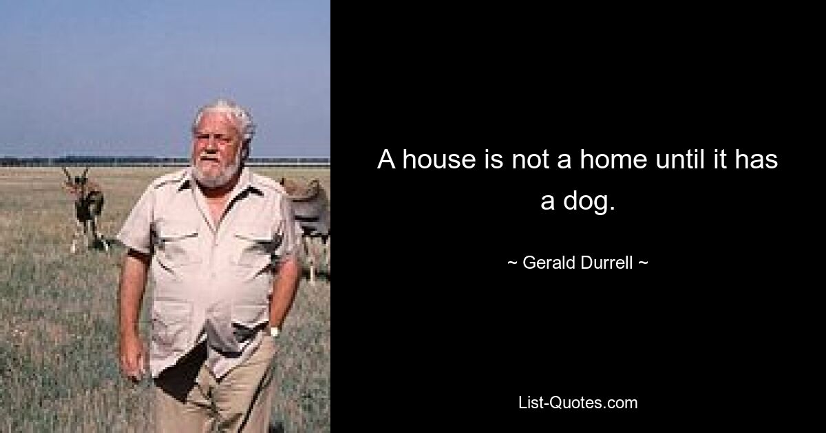 A house is not a home until it has a dog. — © Gerald Durrell