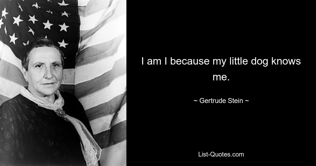 I am I because my little dog knows me. — © Gertrude Stein