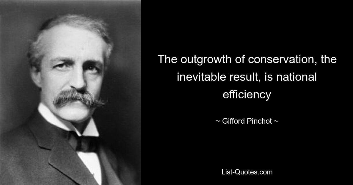 The outgrowth of conservation, the inevitable result, is national efficiency — © Gifford Pinchot