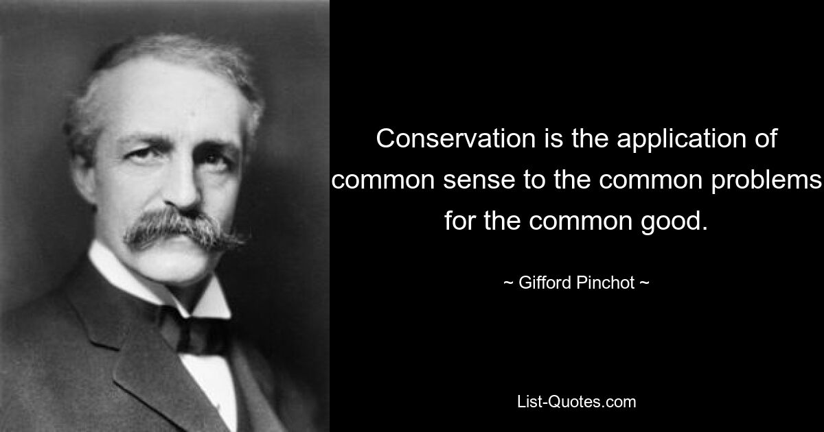 Conservation is the application of common sense to the common problems for the common good. — © Gifford Pinchot