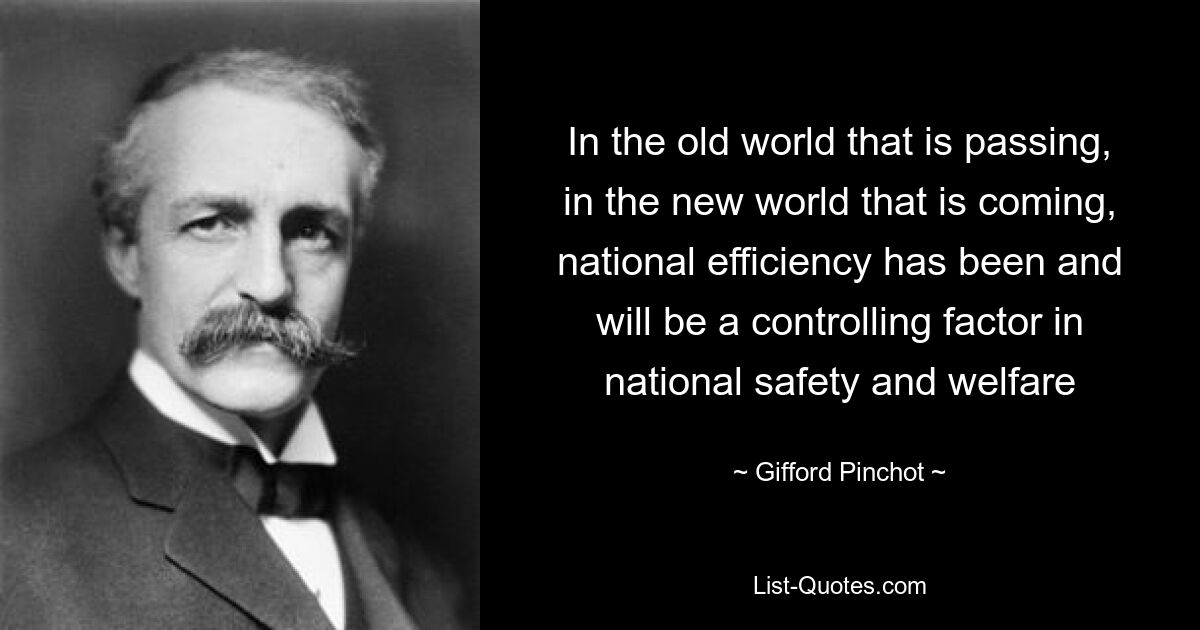 In the old world that is passing, in the new world that is coming, national efficiency has been and will be a controlling factor in national safety and welfare — © Gifford Pinchot