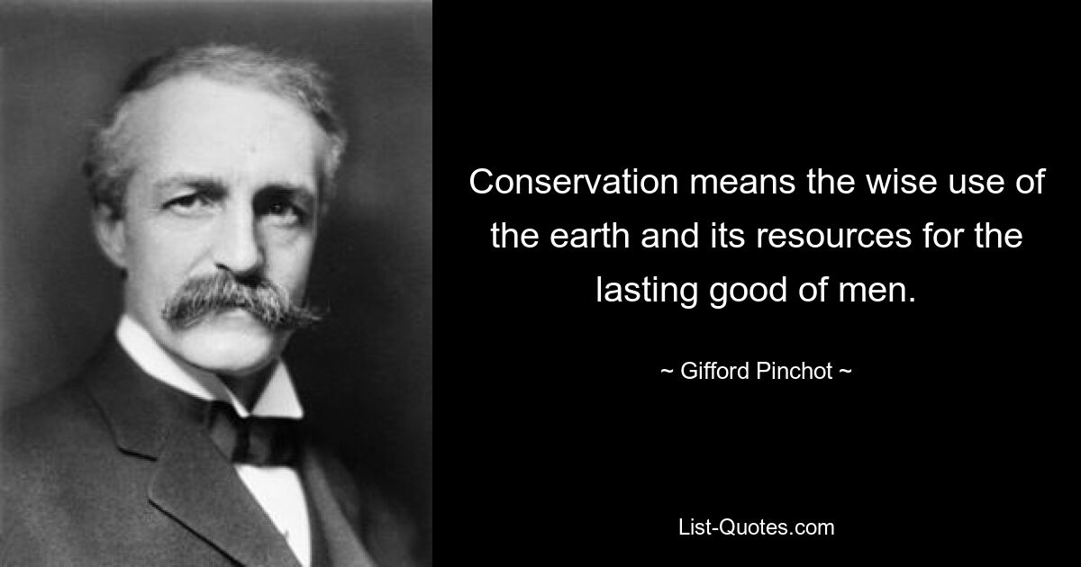 Conservation means the wise use of the earth and its resources for the lasting good of men. — © Gifford Pinchot