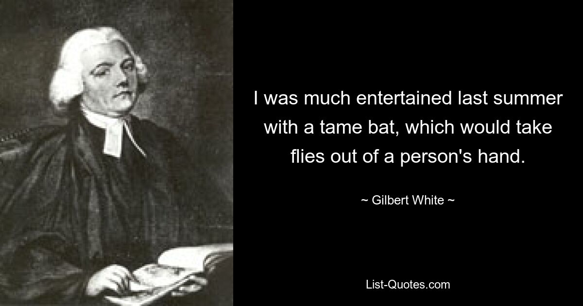 I was much entertained last summer with a tame bat, which would take flies out of a person's hand. — © Gilbert White