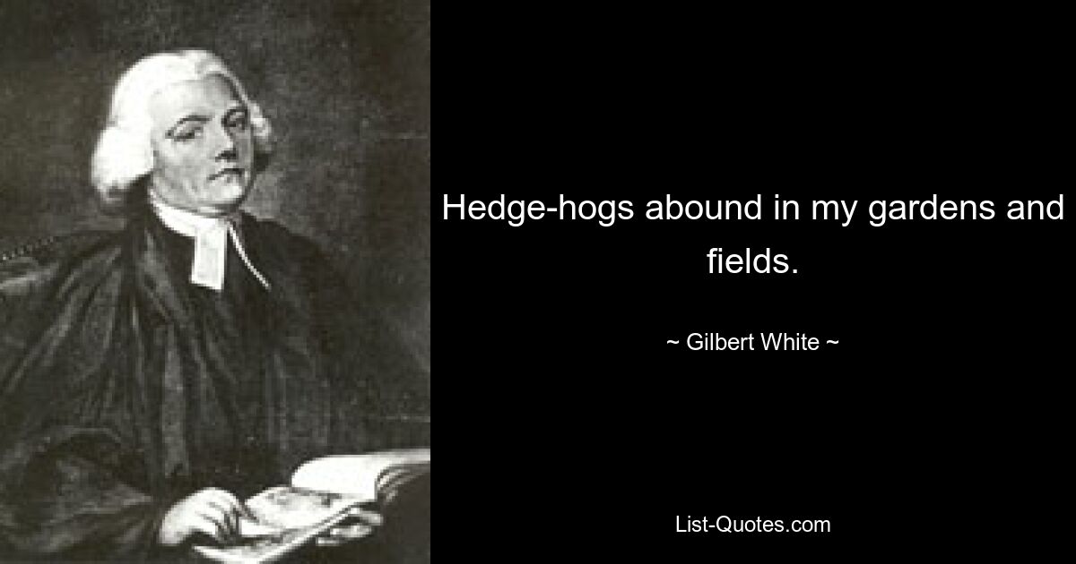 Hedge-hogs abound in my gardens and fields. — © Gilbert White